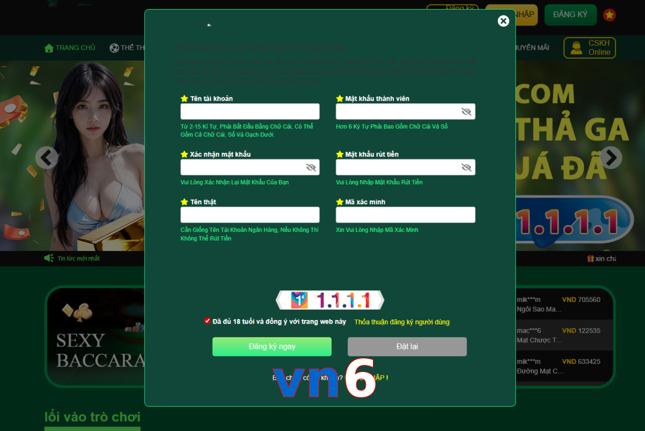 vn6